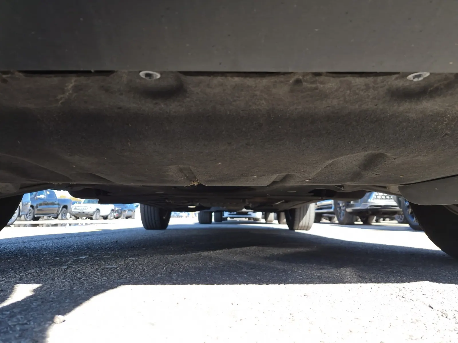 Undercarriage - Front Photo