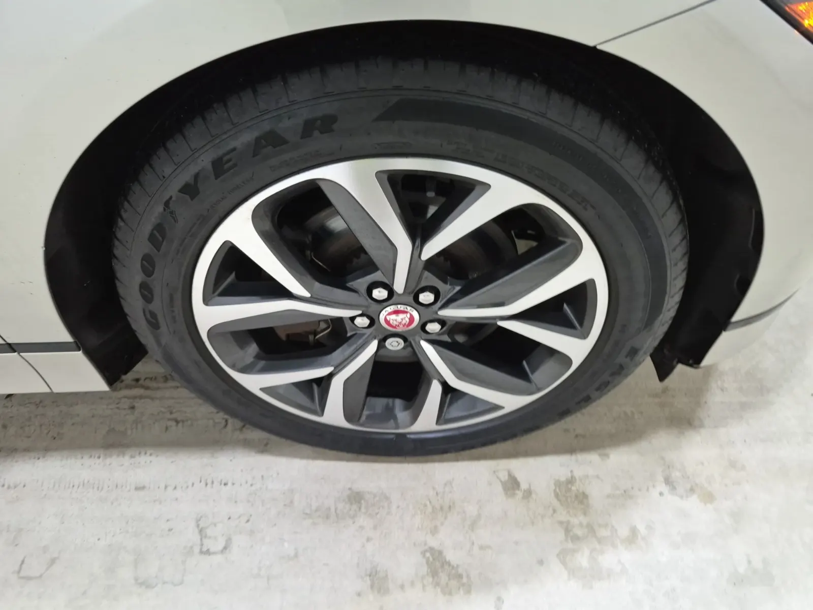 Right Front Wheel/Tire Photo