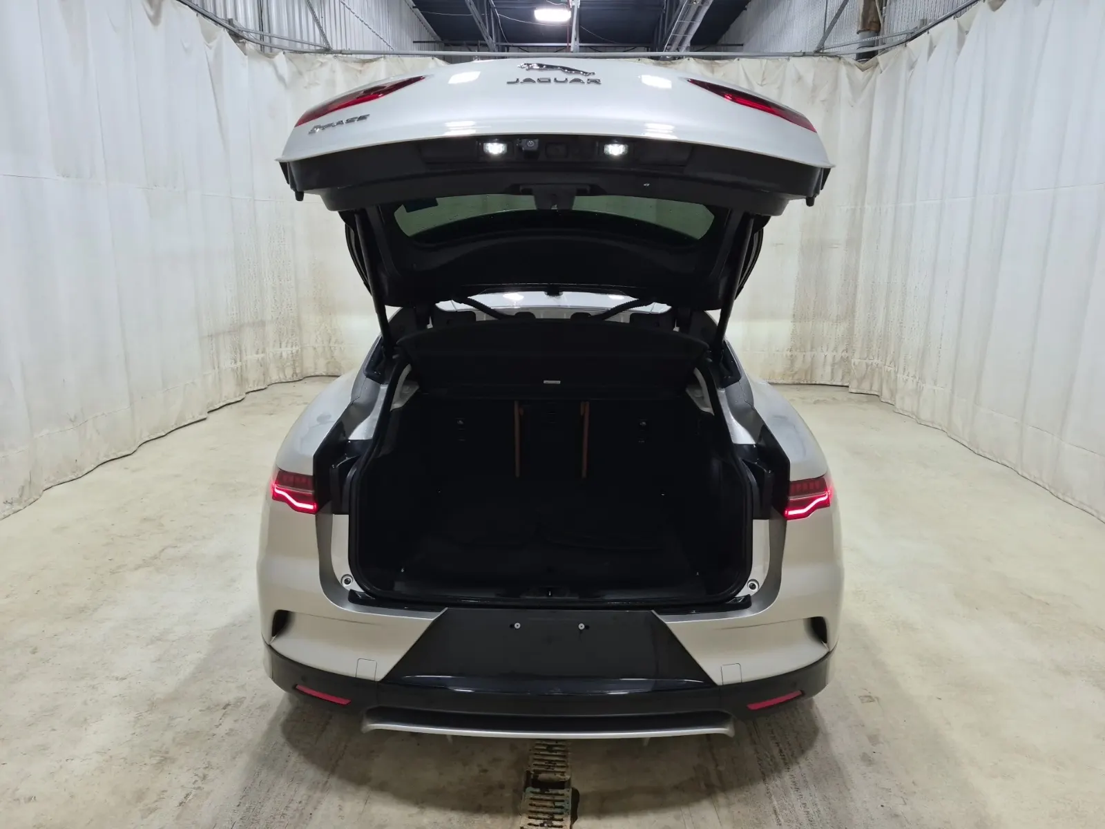 Cargo Area Photo