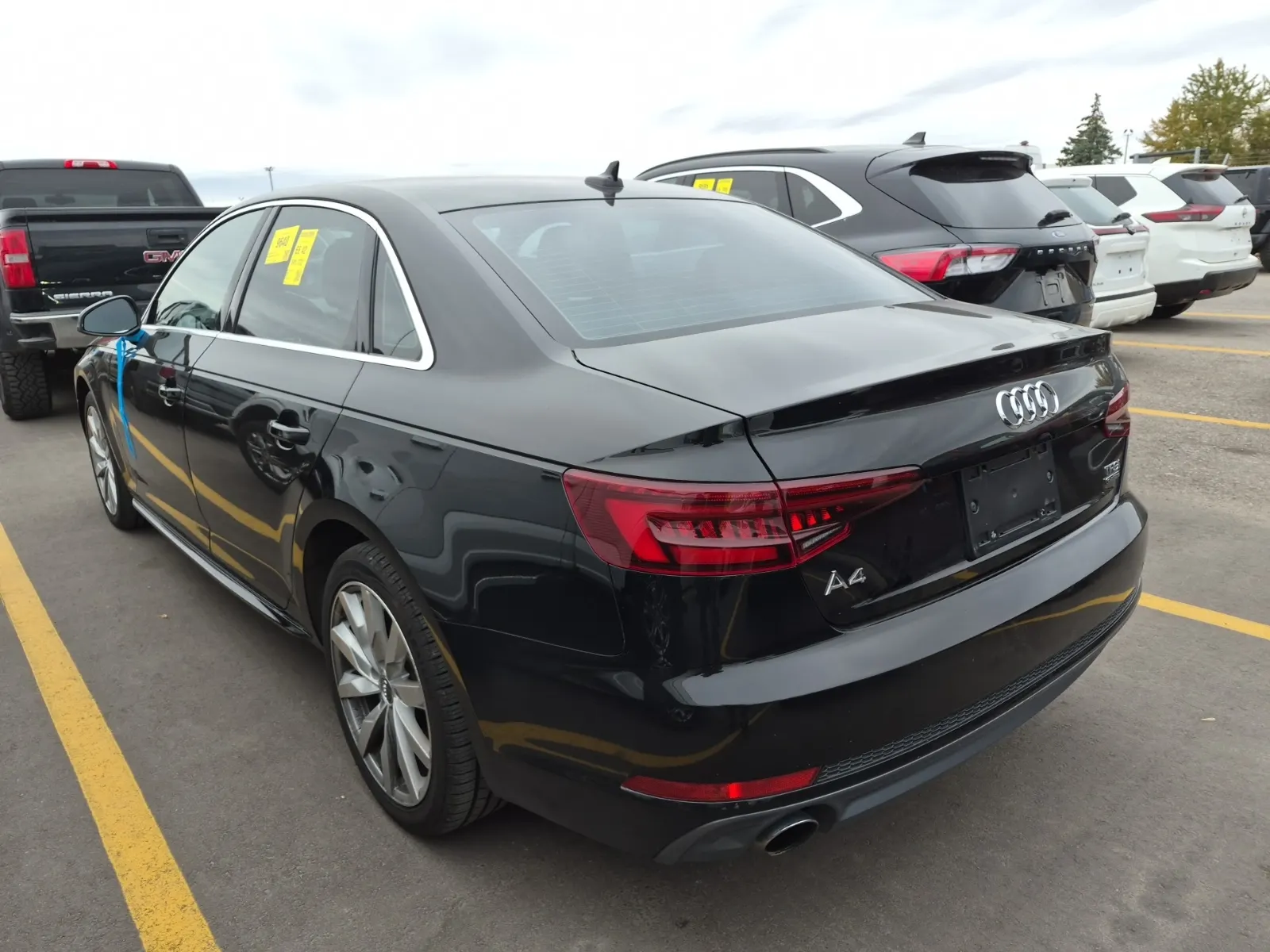 Driver Rear 3/4 Photo