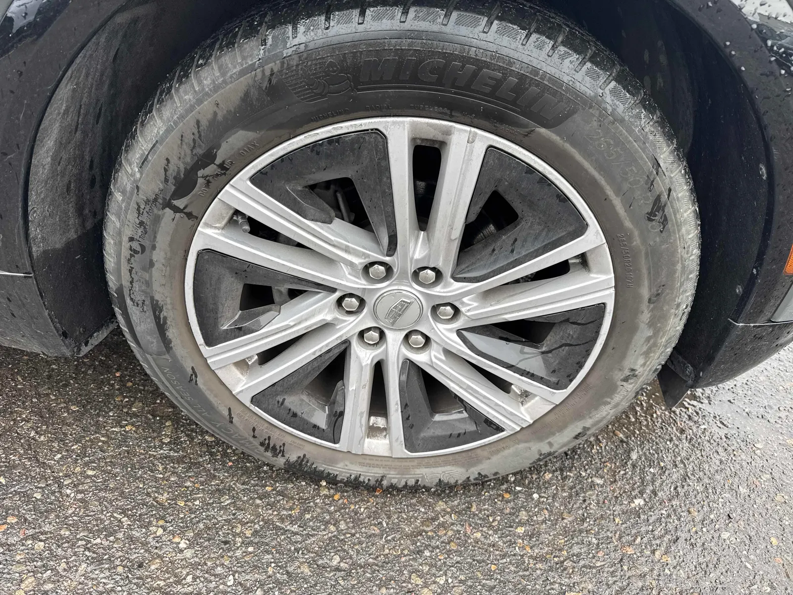 Tire