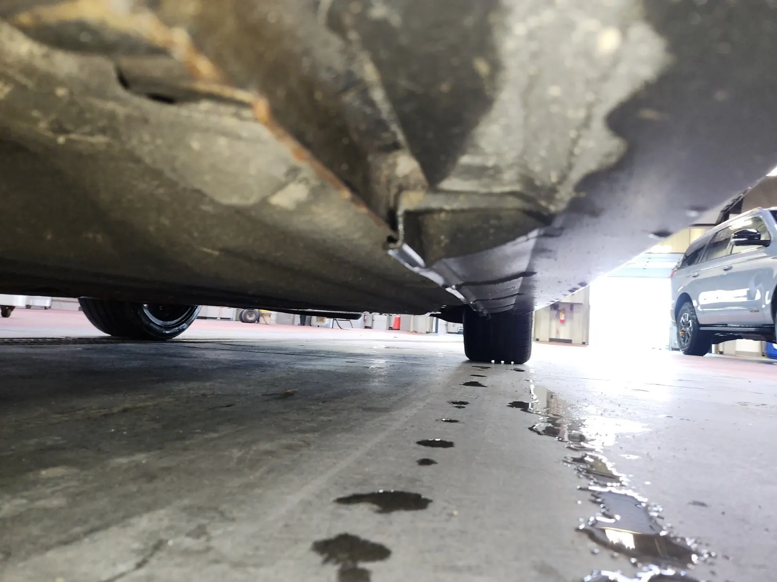 Undercarriage - Driver Photo