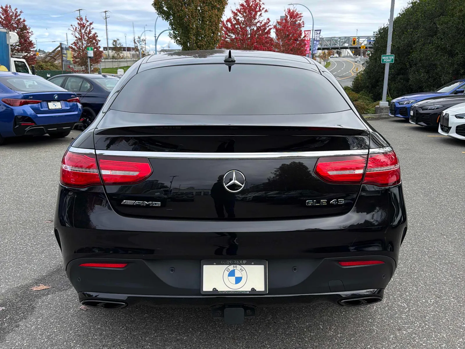 Back