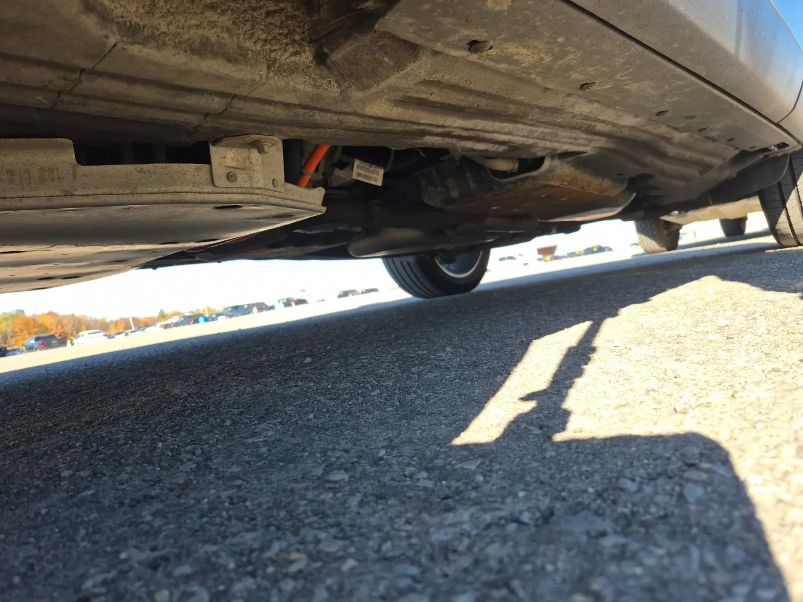 Undercarriage - Driver Photo