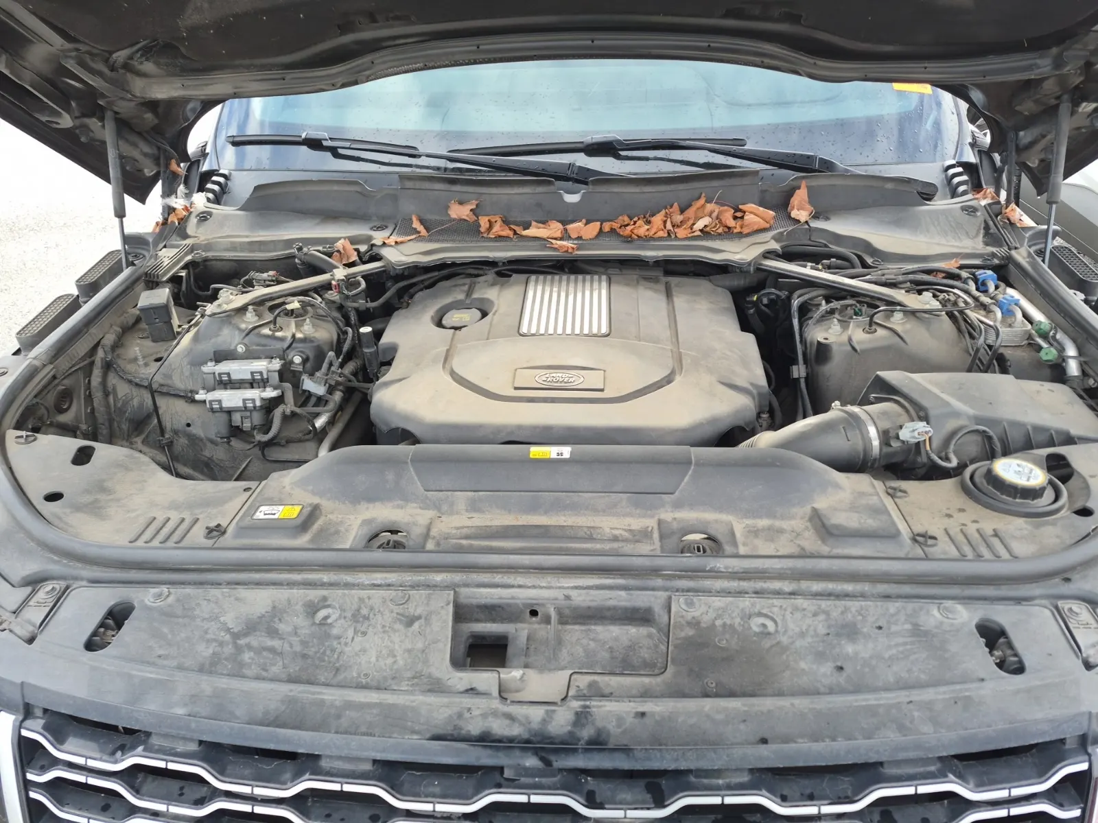 Engine Photo