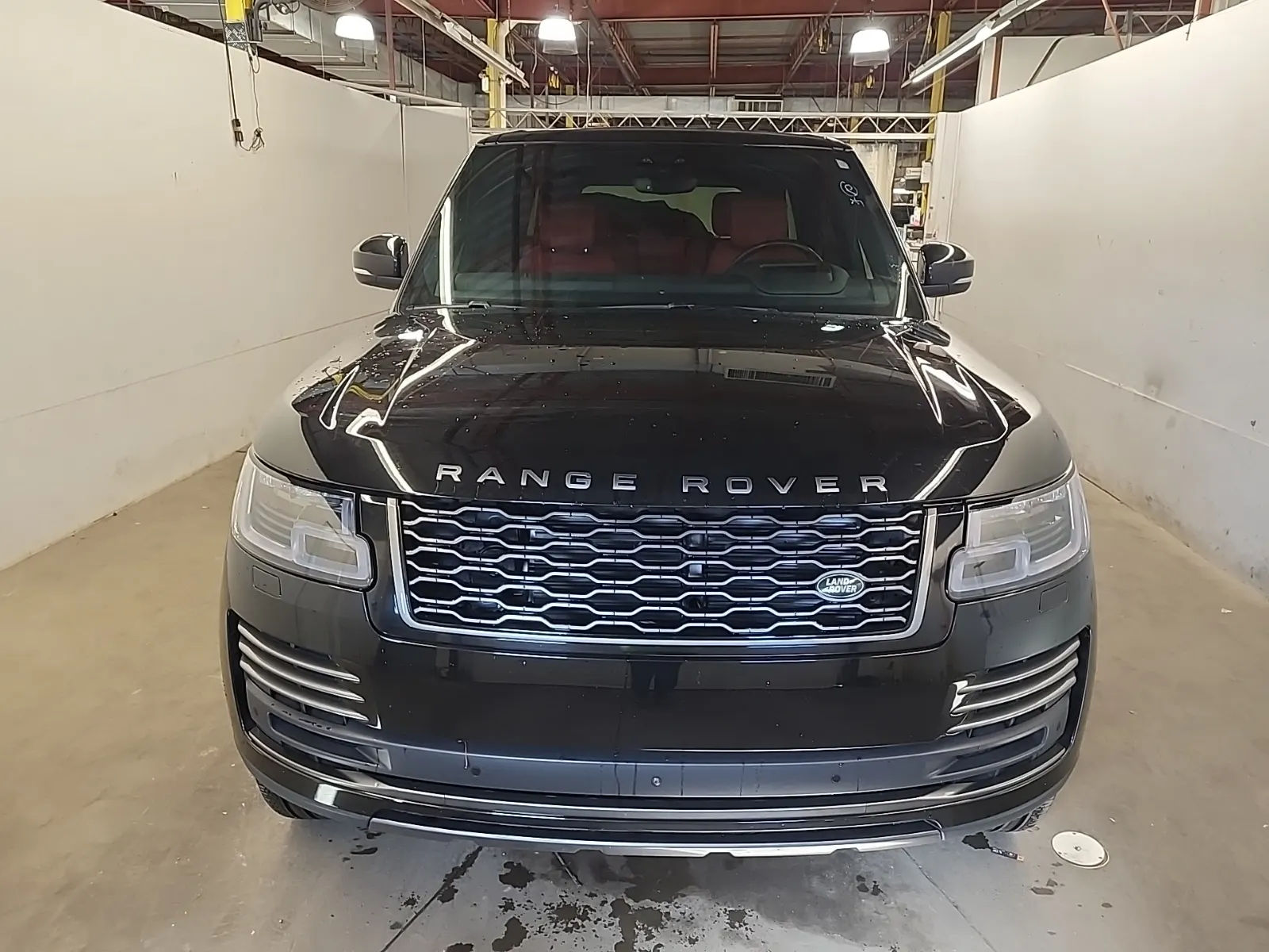 Full Front Photo