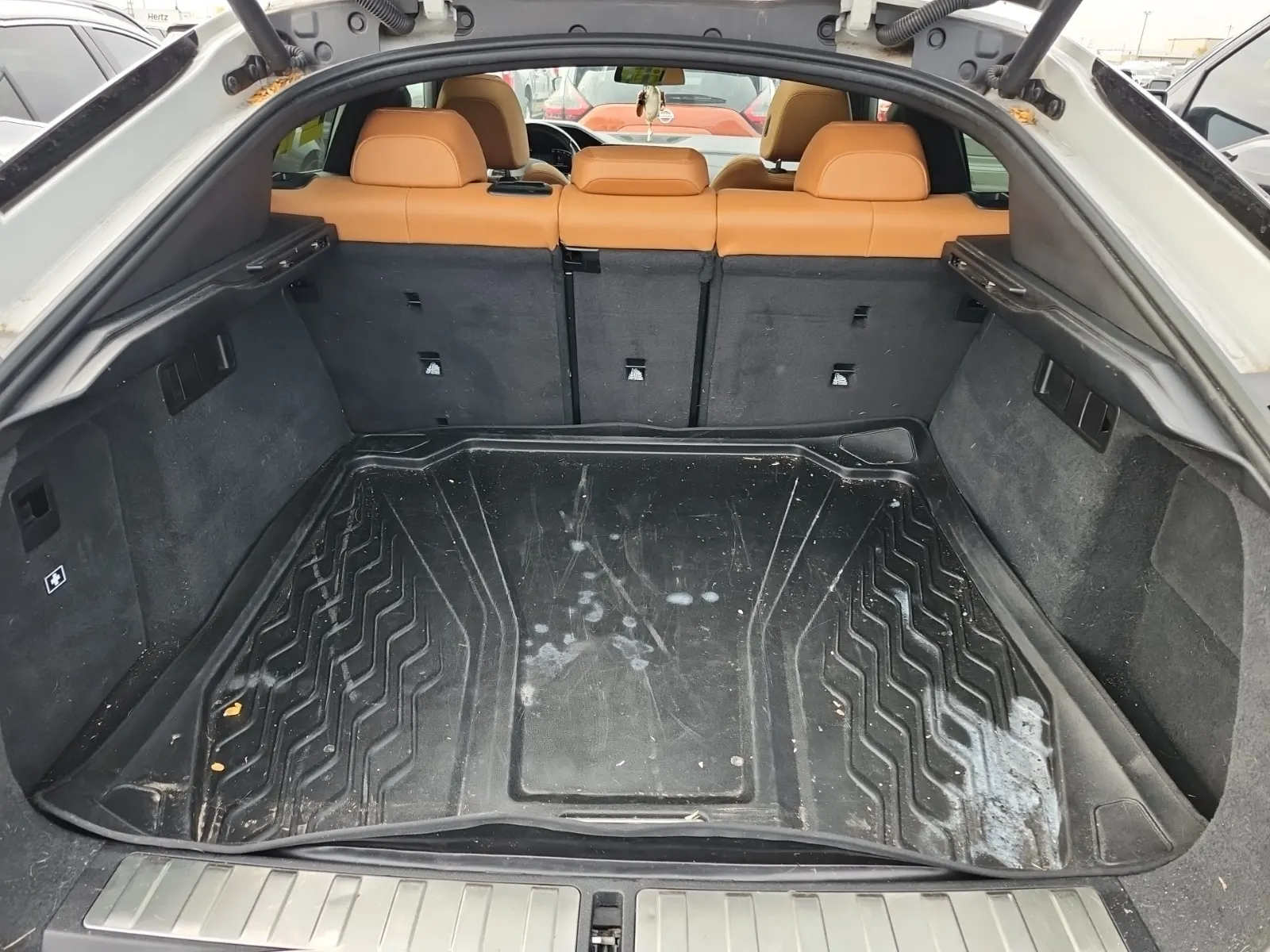 Cargo Area Photo
