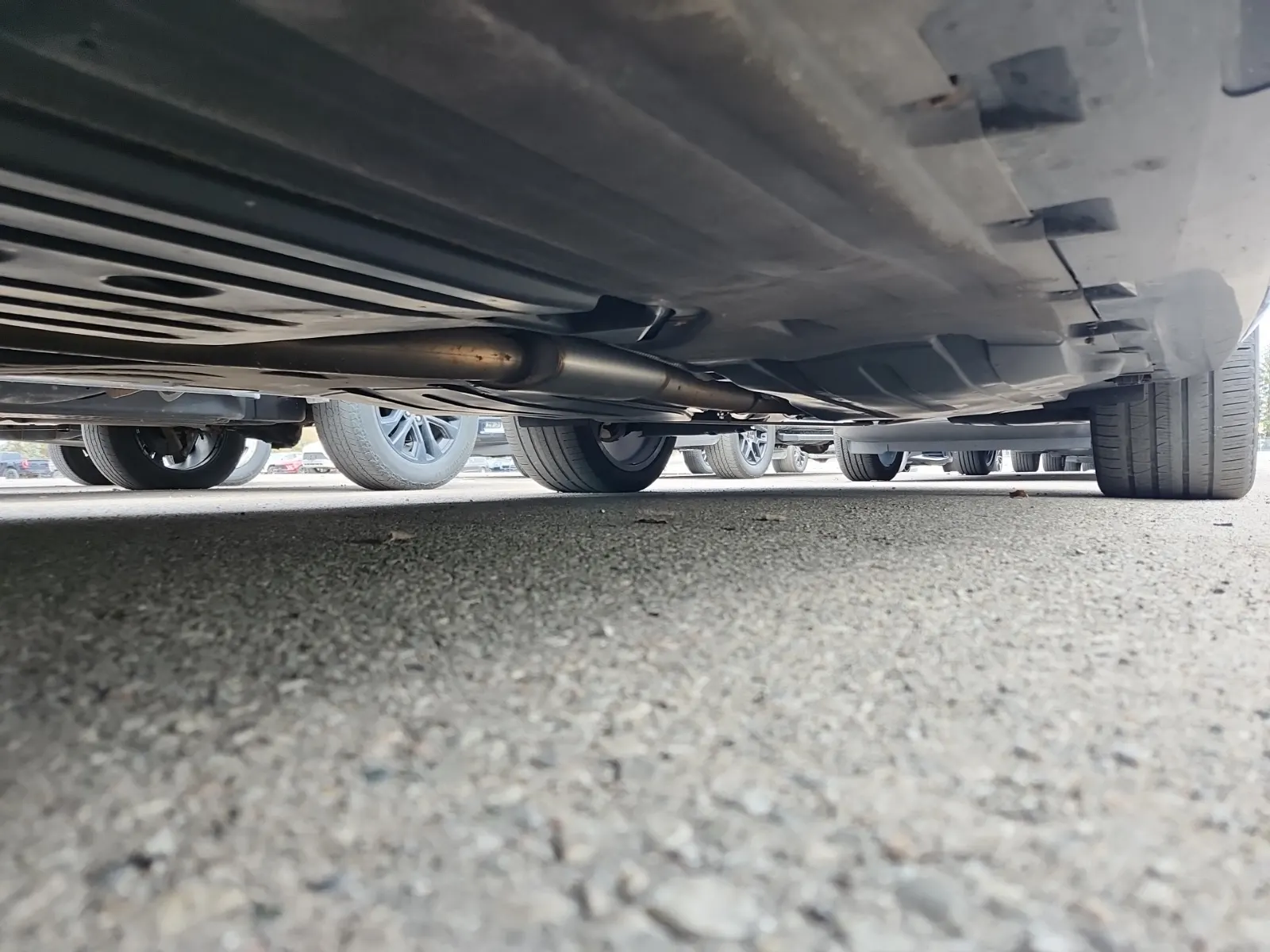 Undercarriage - Driver Photo