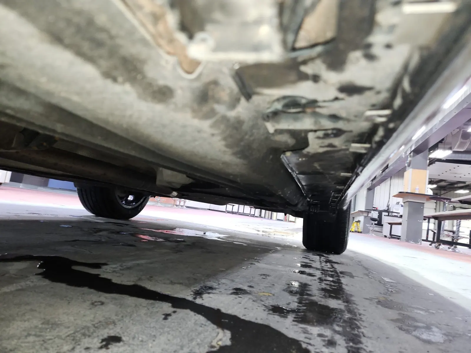 Undercarriage - Driver Photo