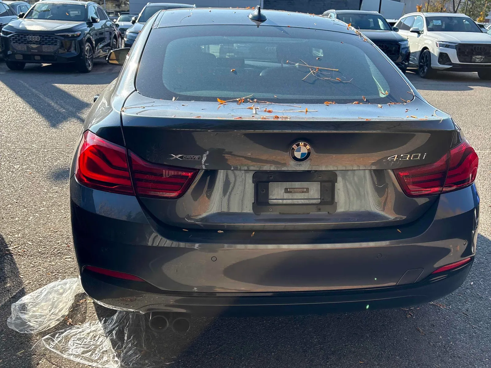 Back