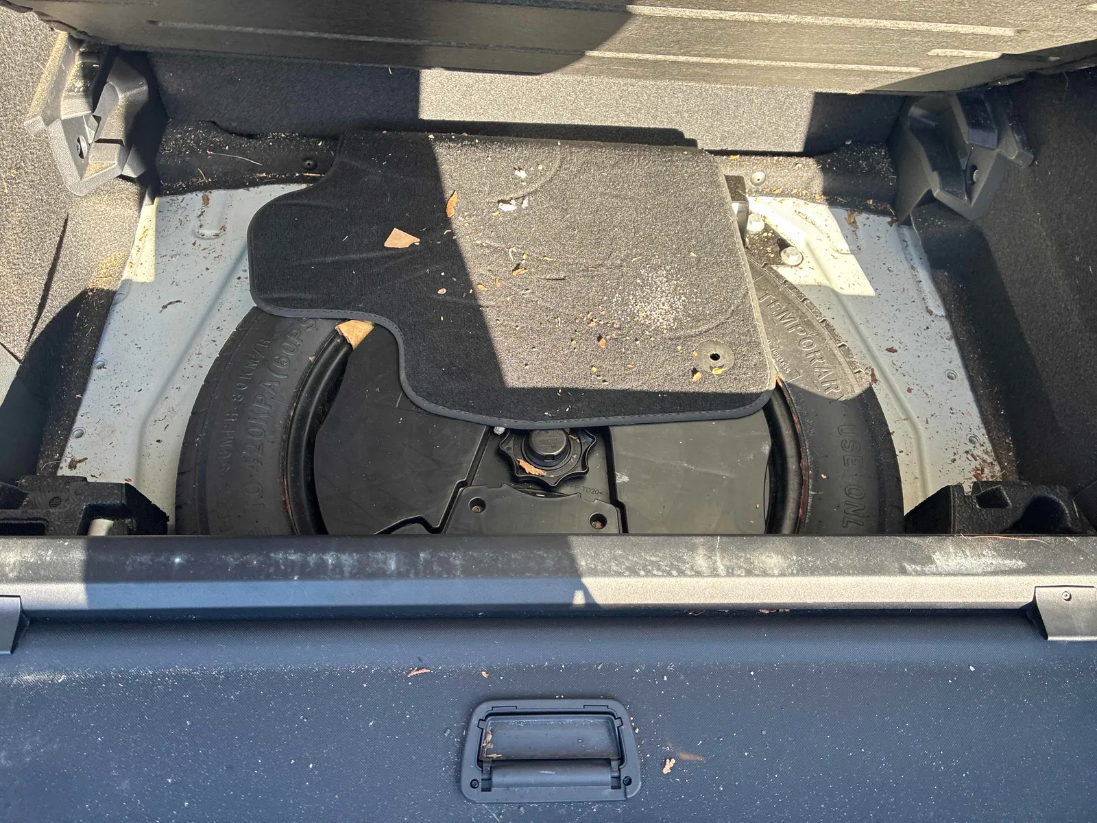 Additional Photo
