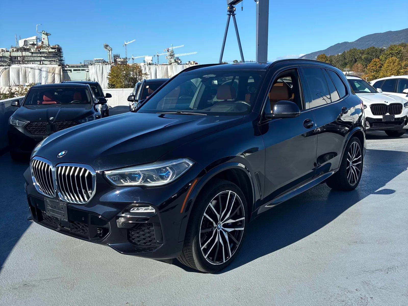 2019 BMW X5