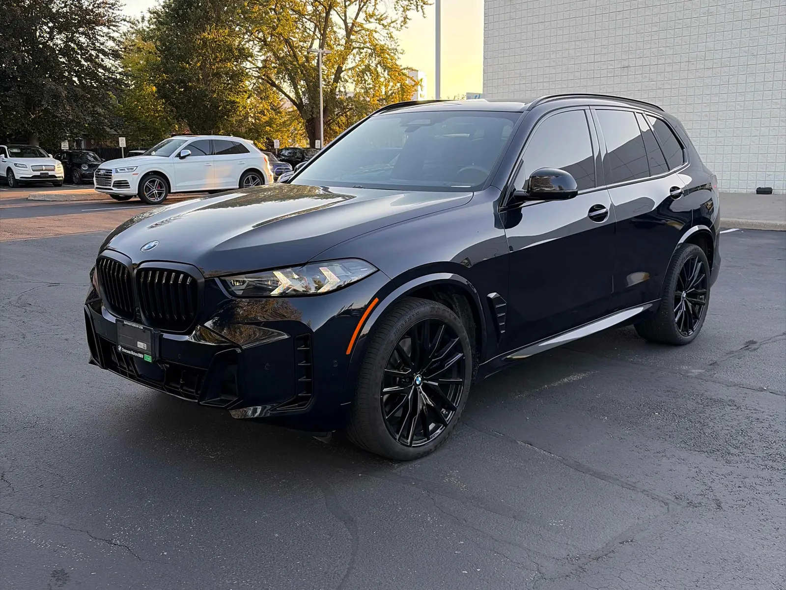2024 BMW X5