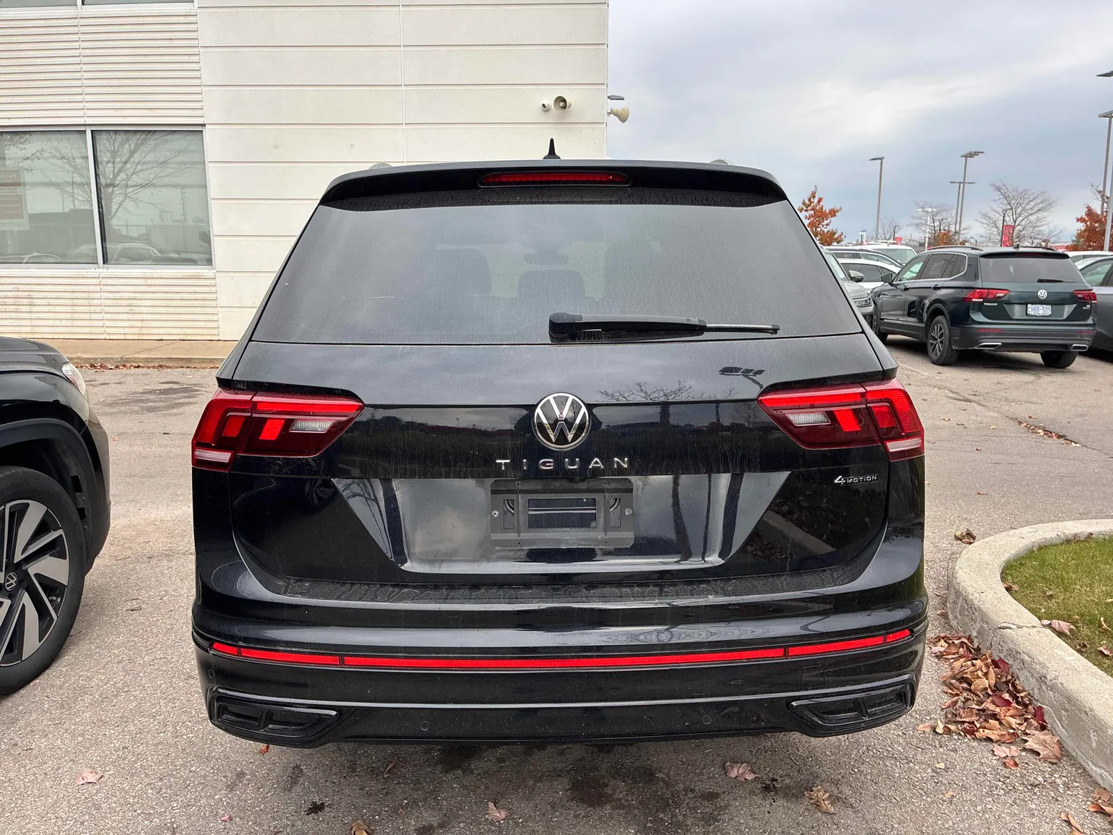 Back