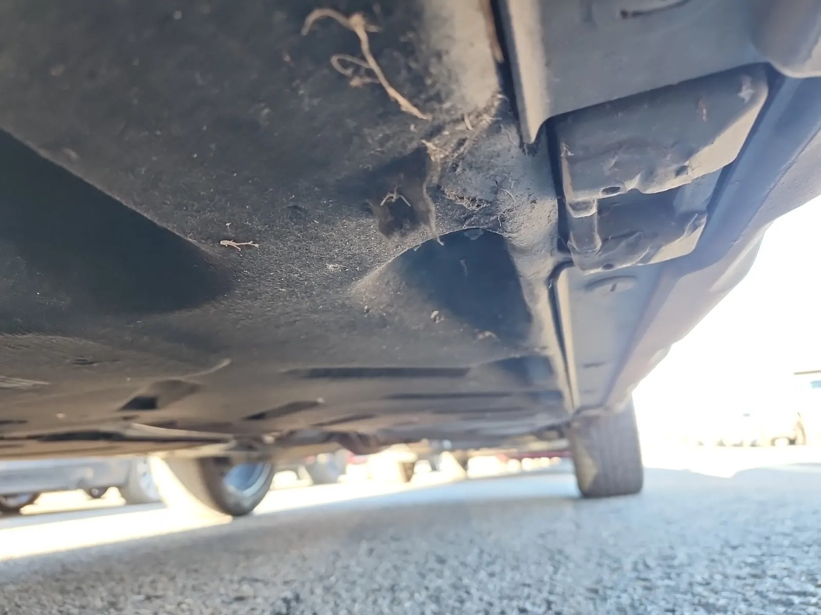 Undercarriage - Driver Photo