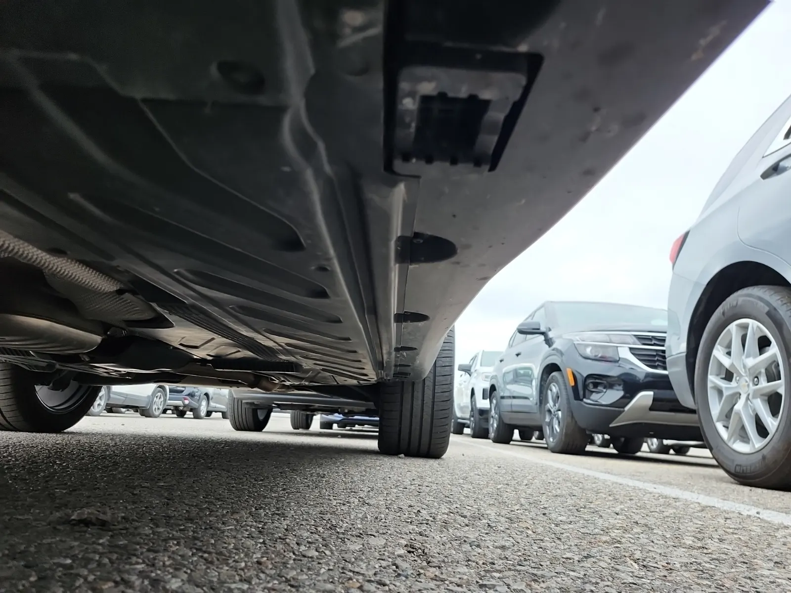 Undercarriage - Driver Photo