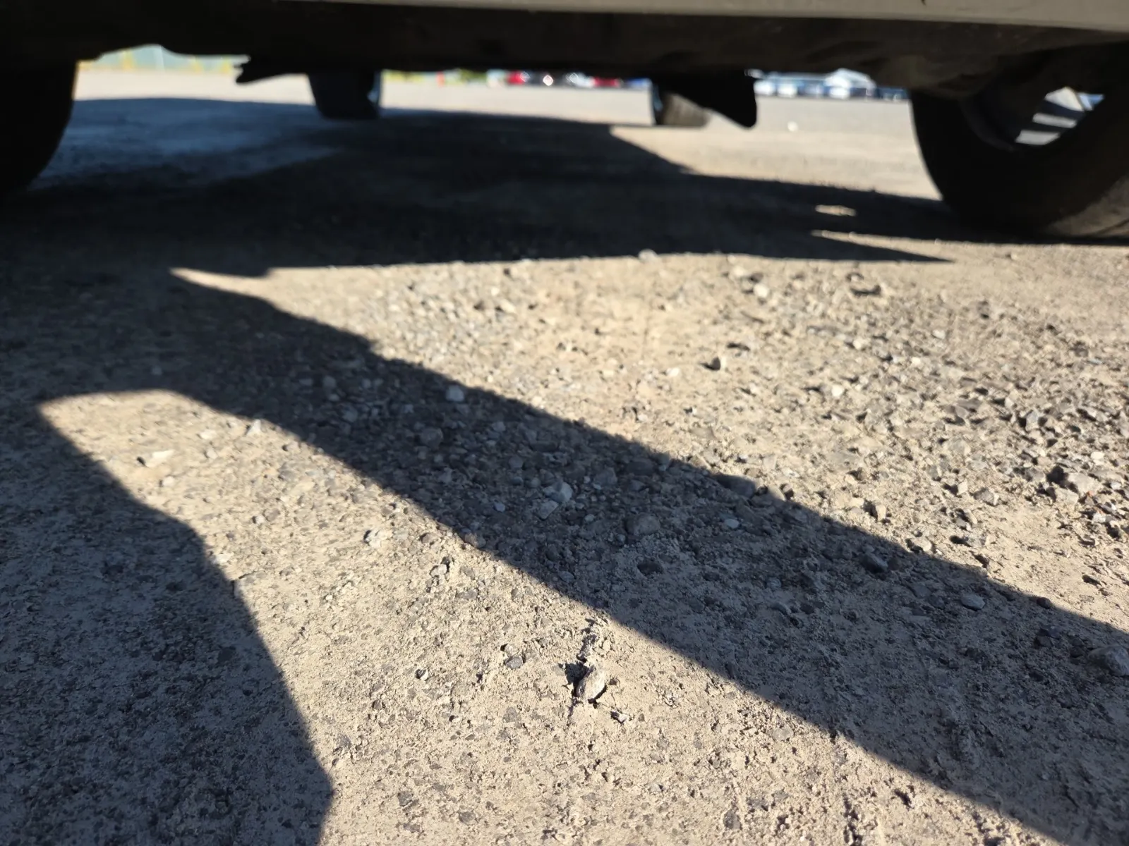 Undercarriage - Front Photo