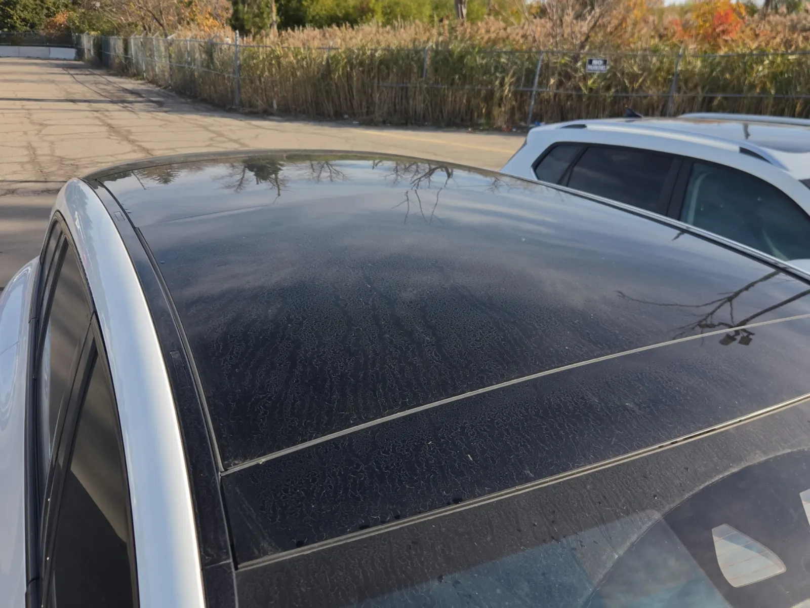 Exterior Roof Photo