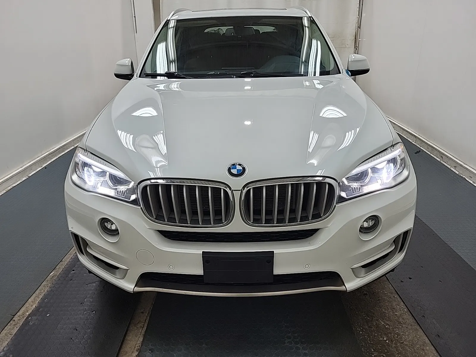 Full Front Photo