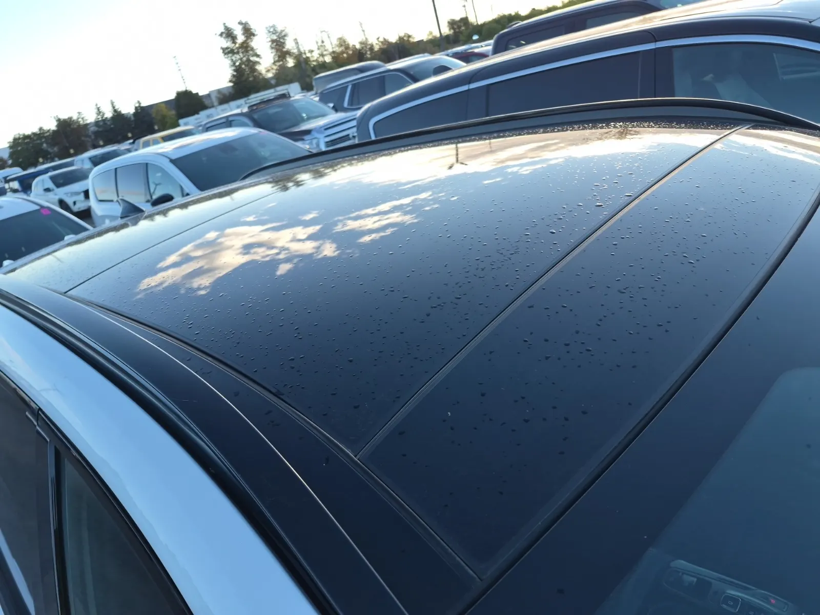 Exterior Roof Photo