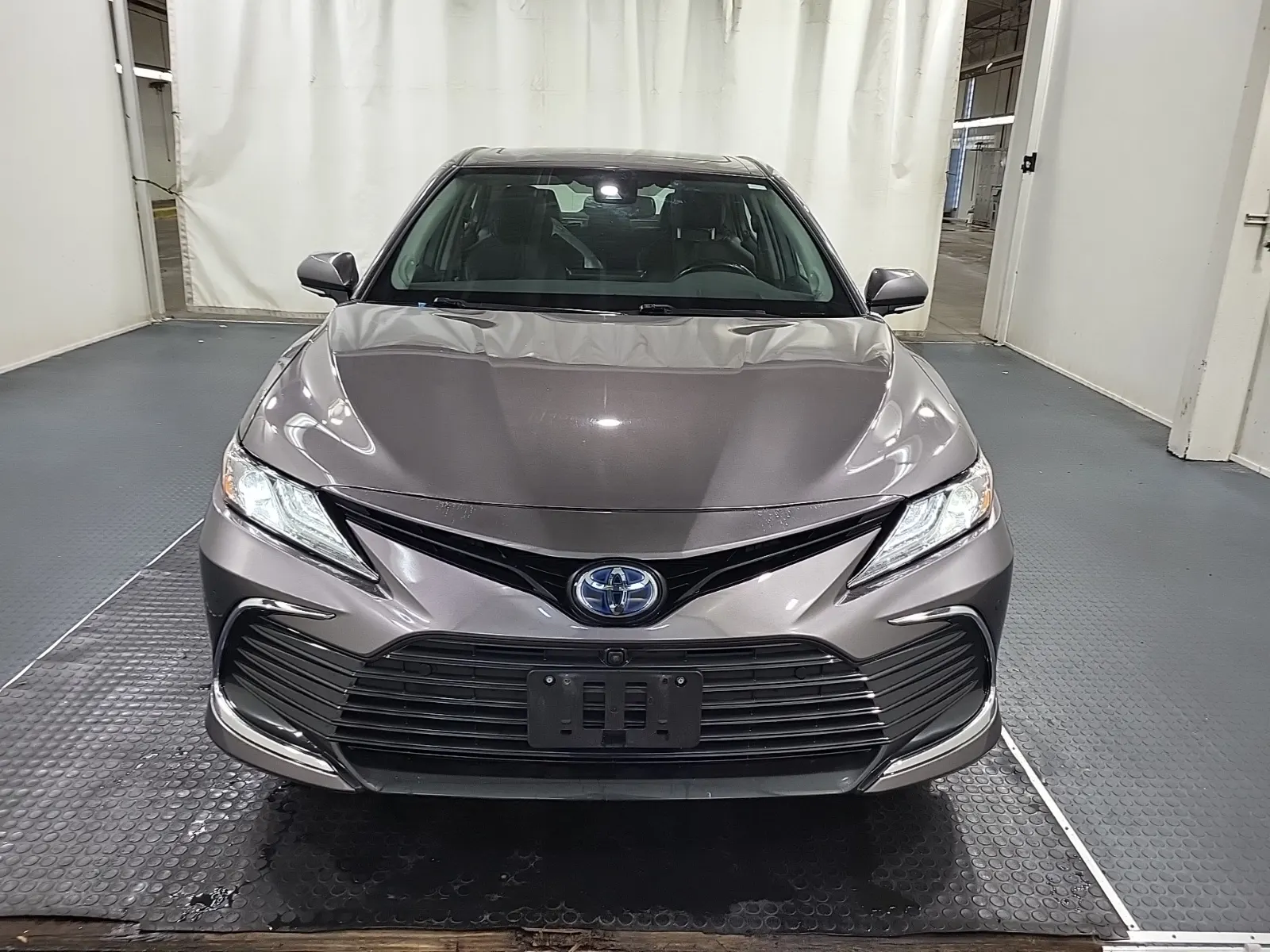 Full Front Photo