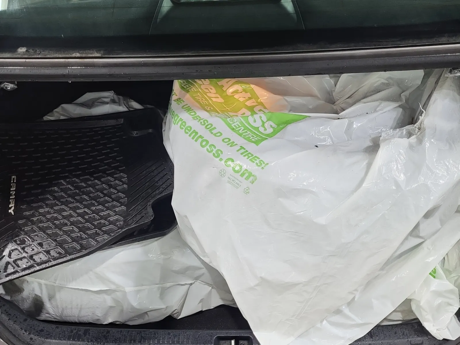 Cargo Area Photo