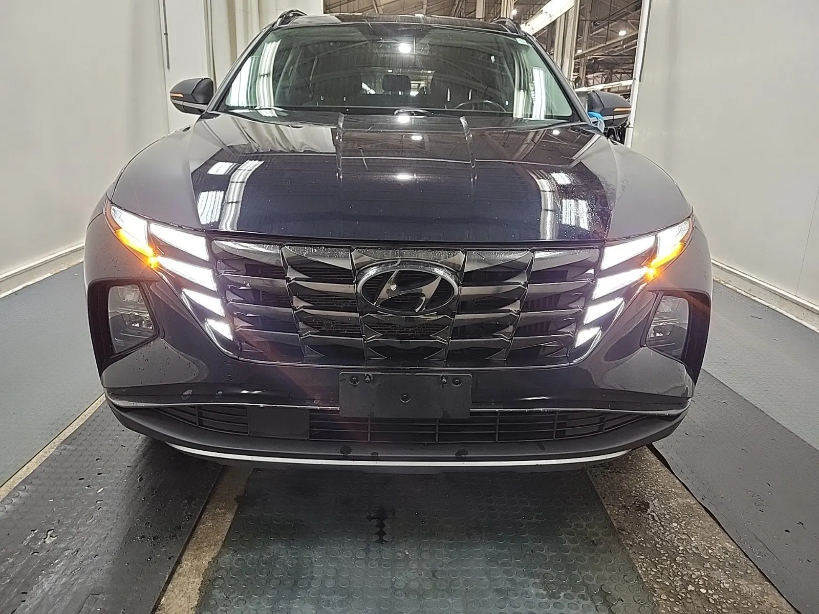 Full Front Photo