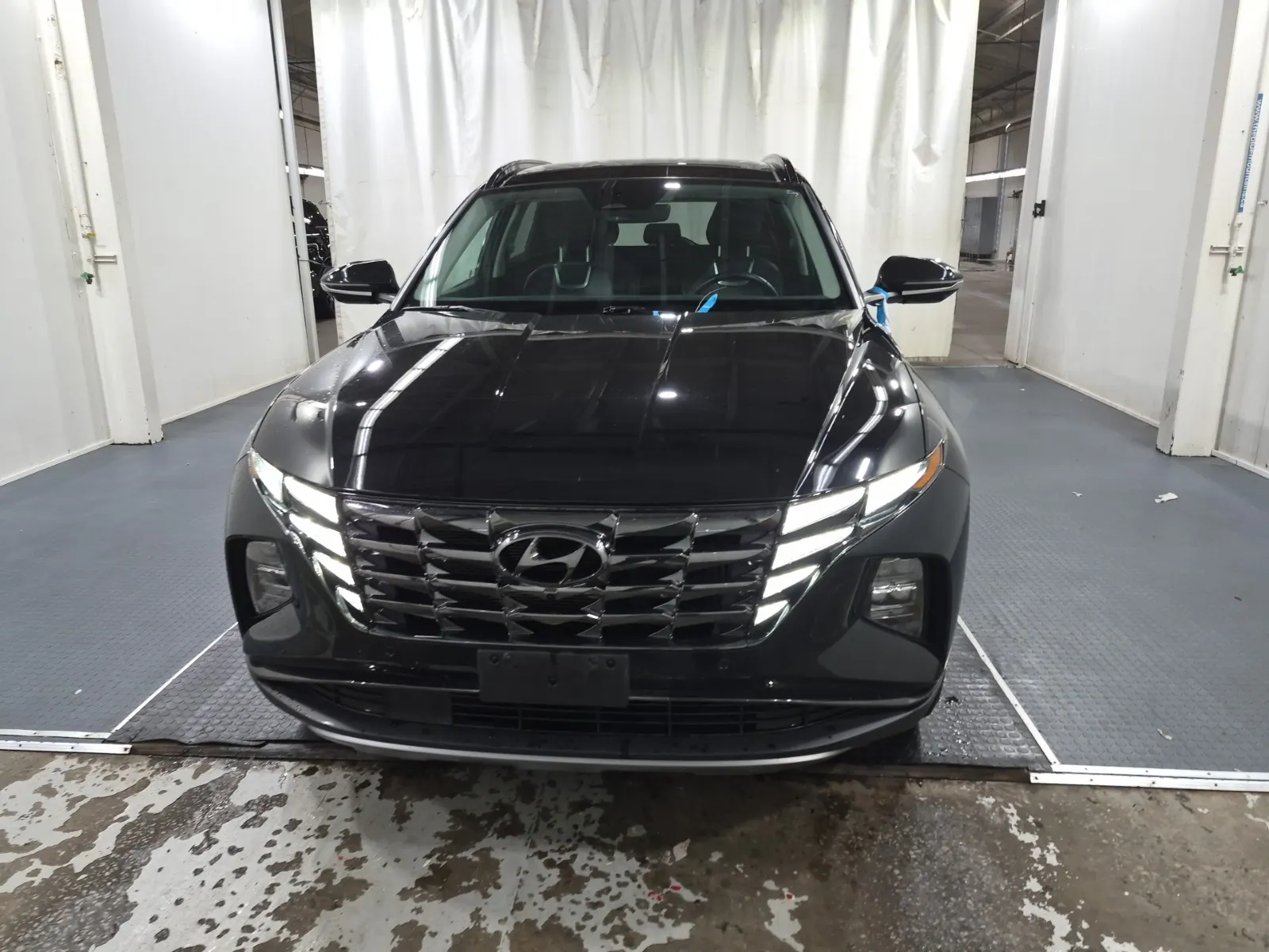 Full Front Photo