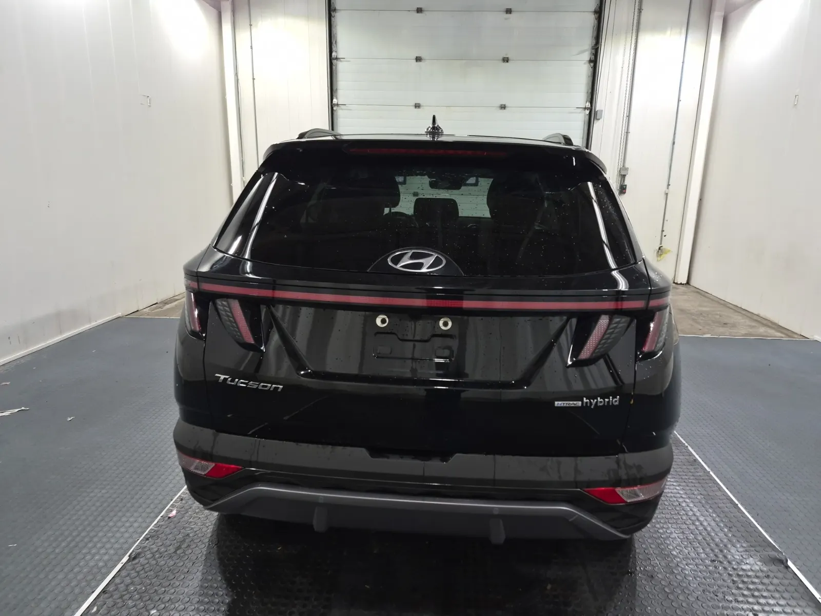 Full Rear Photo