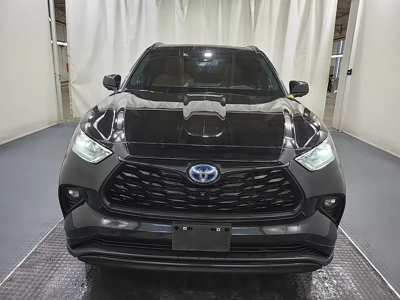 Full Front Photo