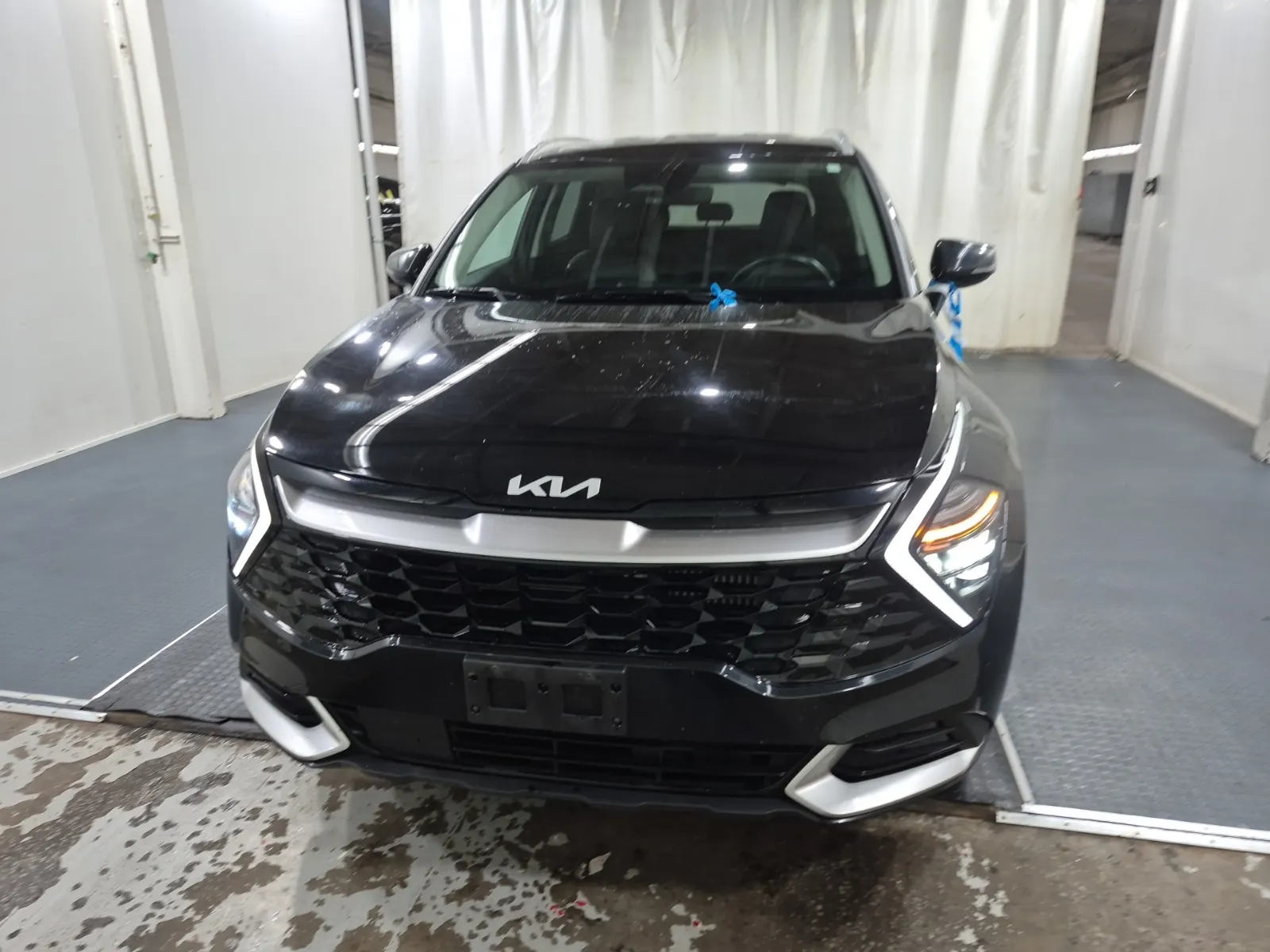 Full Front Photo