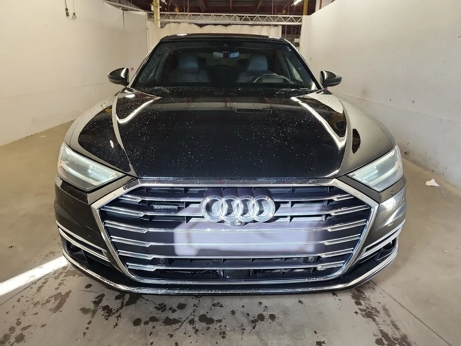Full Front Photo