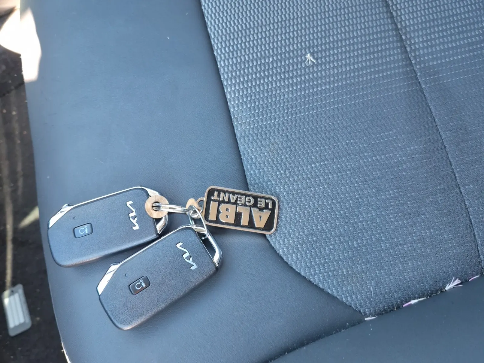 Keys/Fobs/Manual Photo