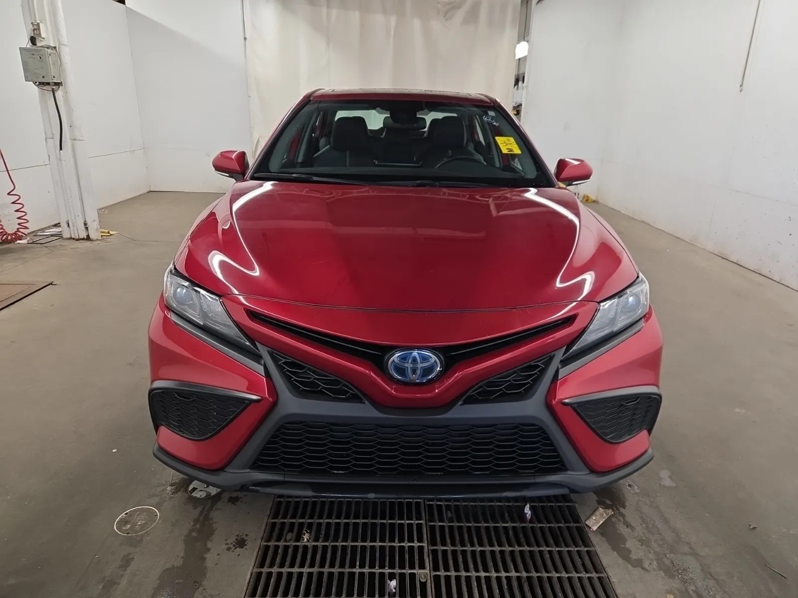 Full Front Photo