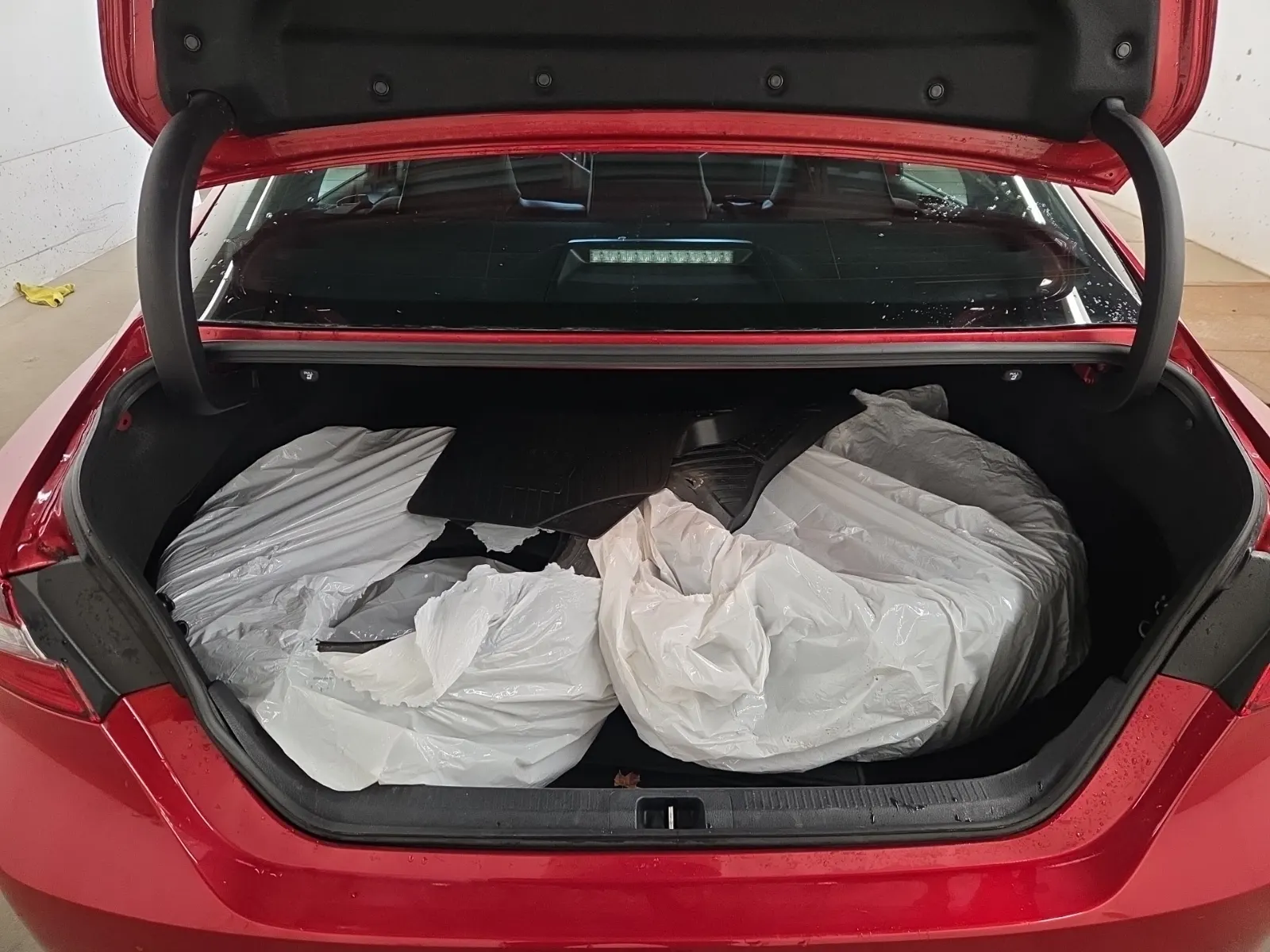 Cargo Area Photo