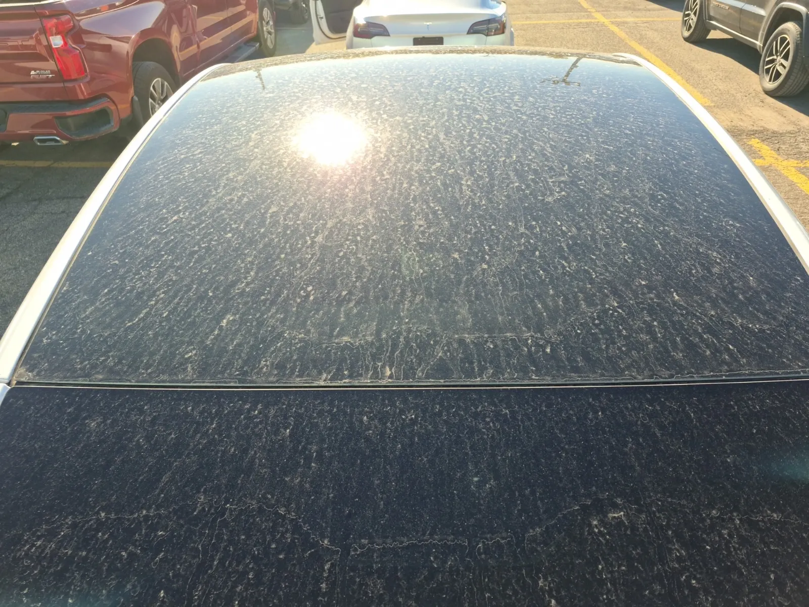 Exterior Roof Photo