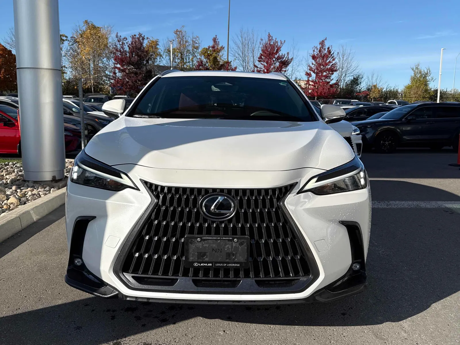 Front