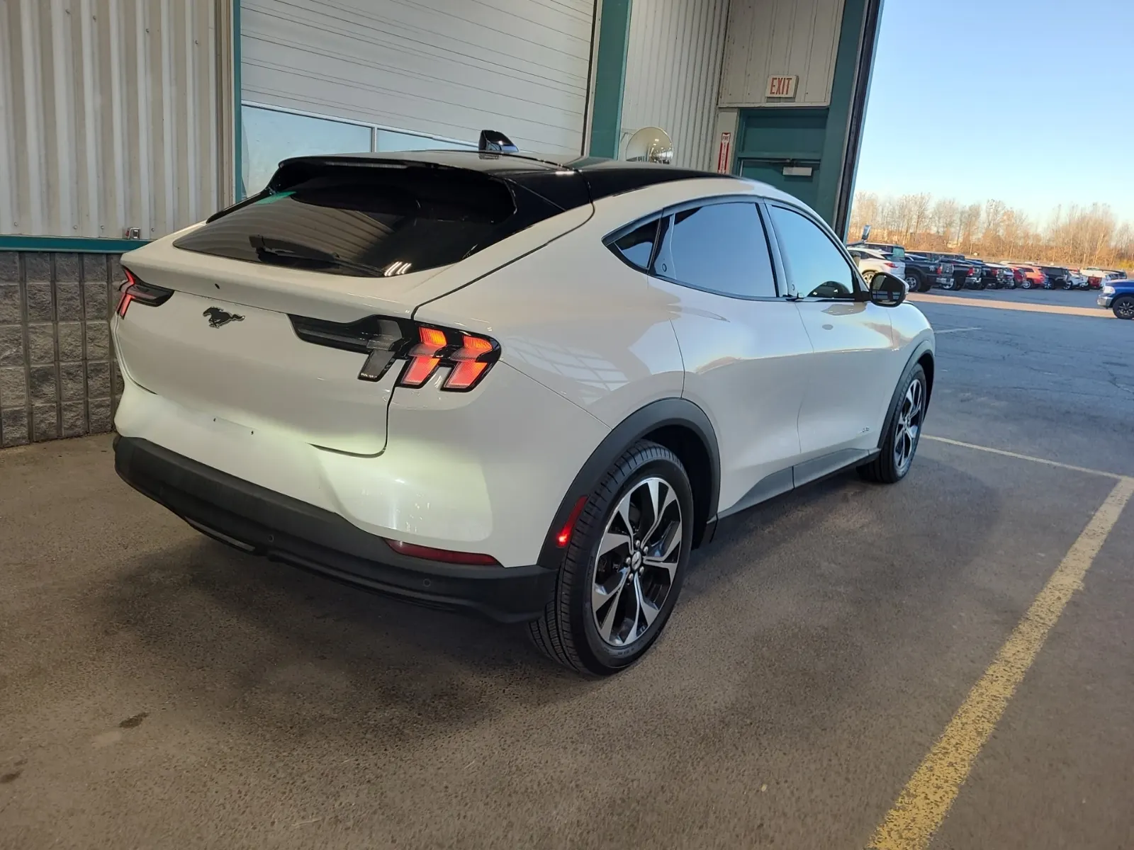 Passenger Rear 3/4 Photo