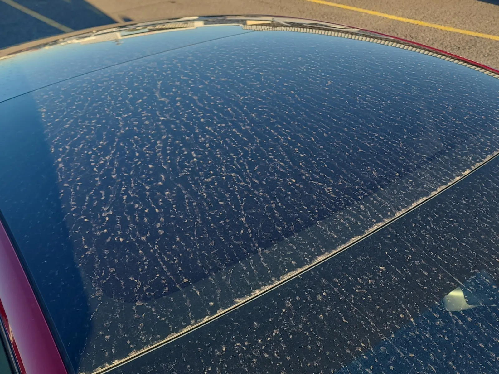 Exterior Roof Photo