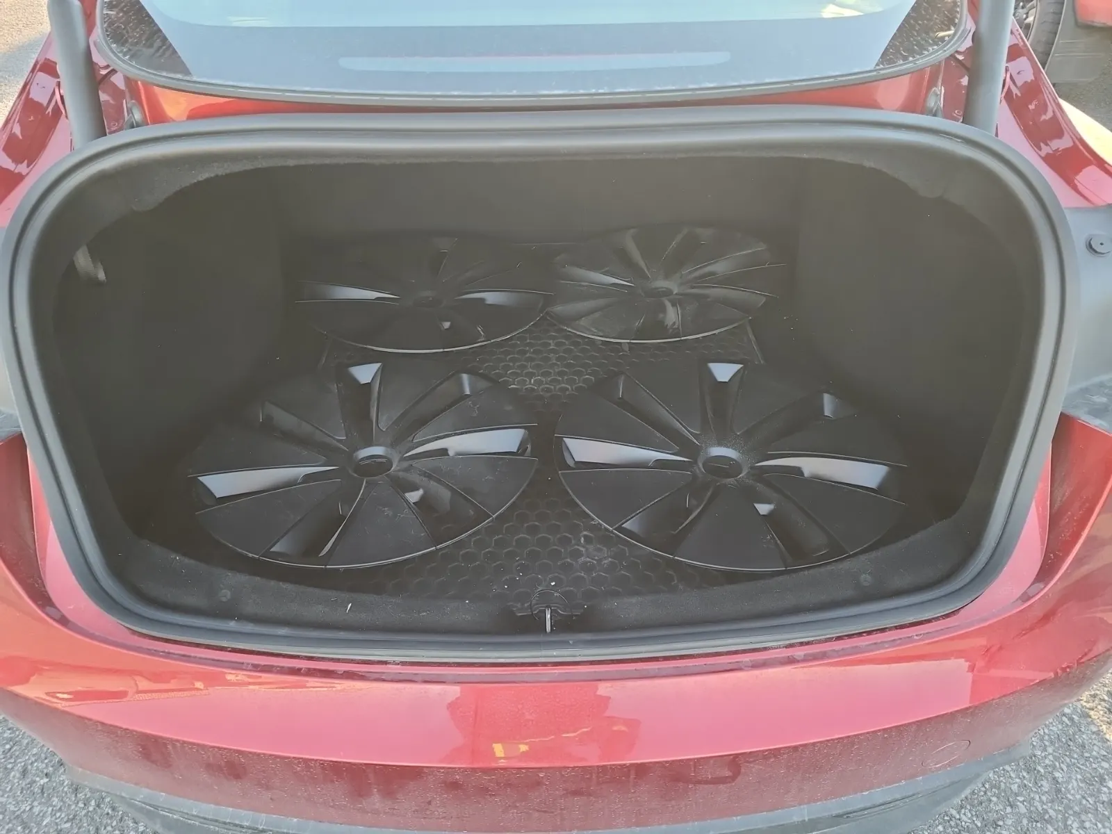 Cargo Area Photo