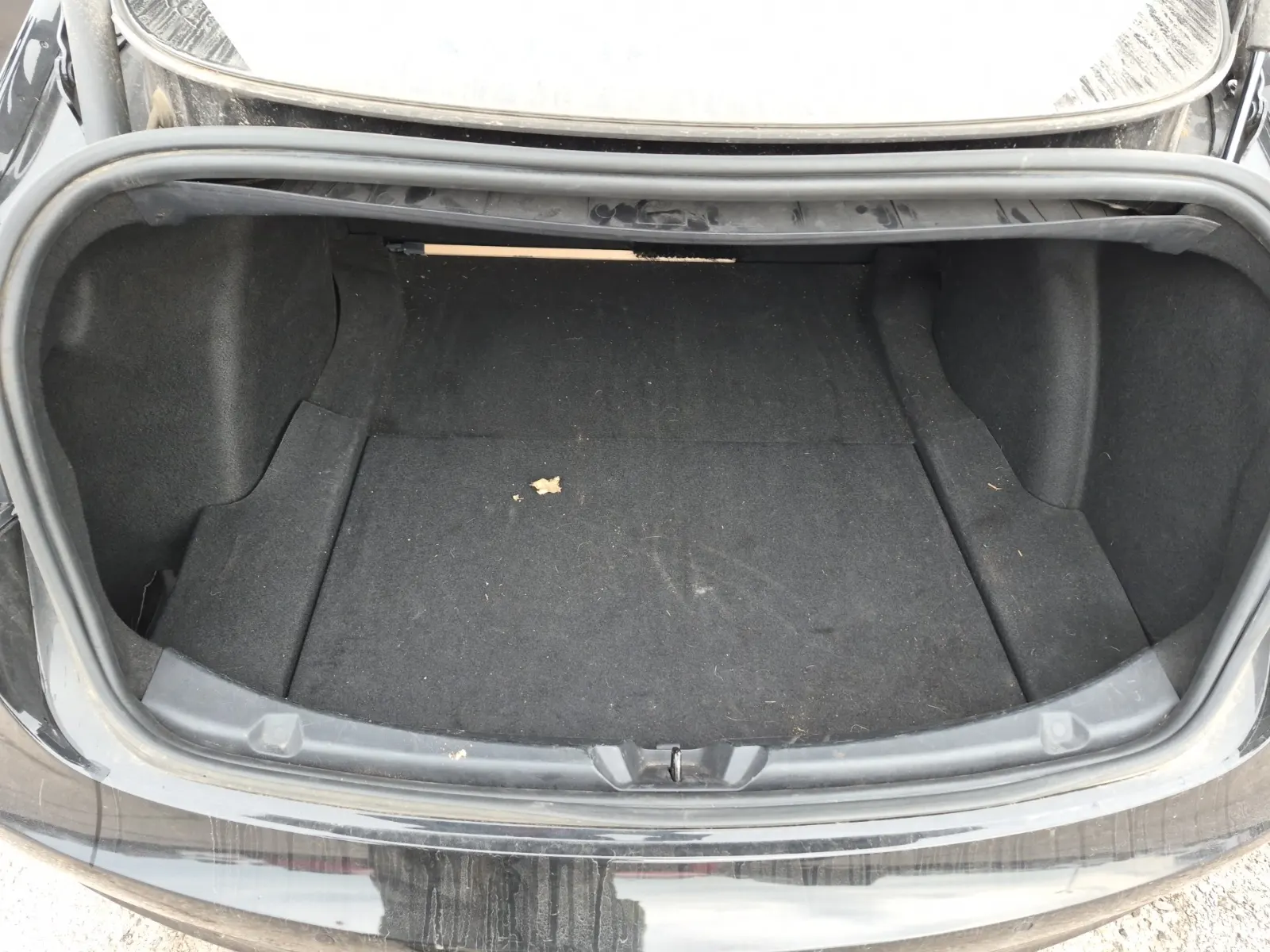 Cargo Area Photo