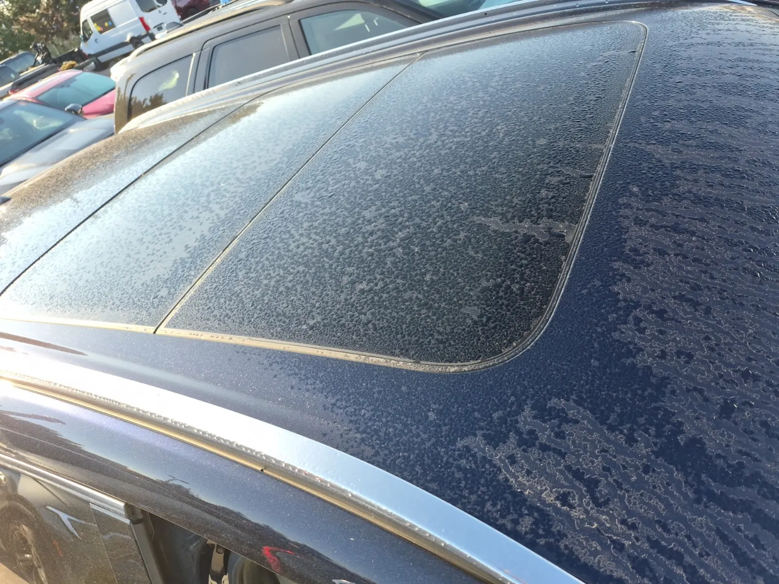 Exterior Roof Photo