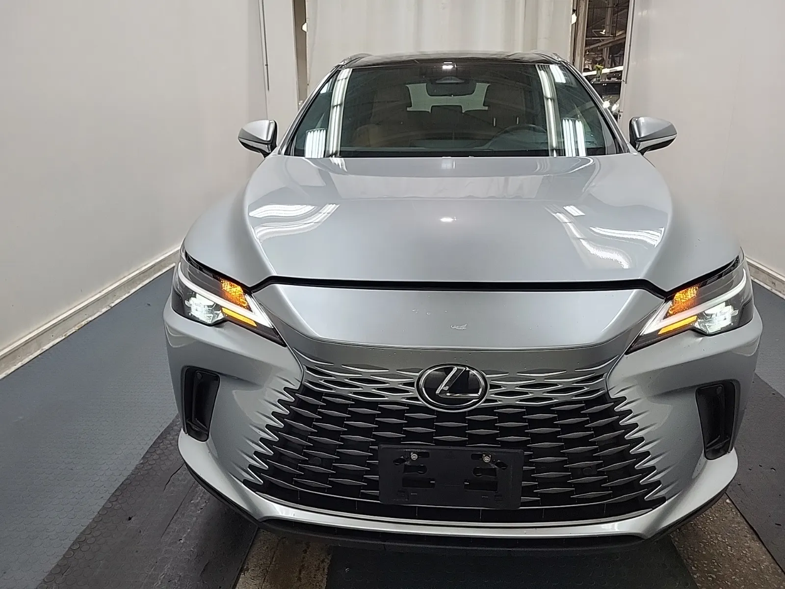 Full Front Photo