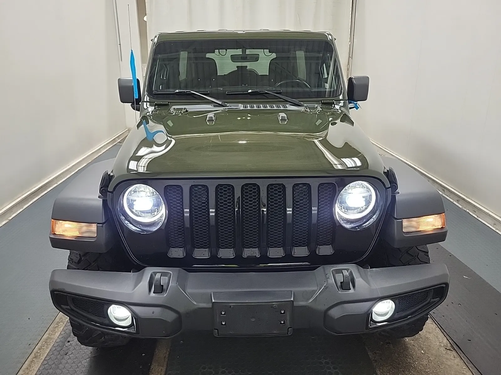 Full Front Photo