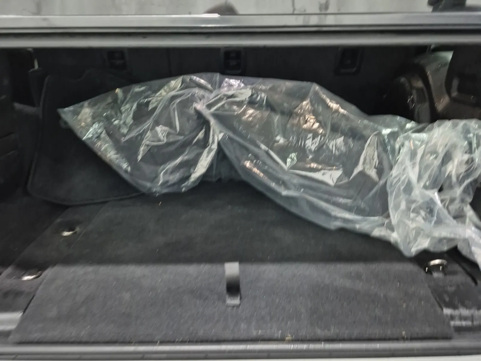Cargo Area Photo