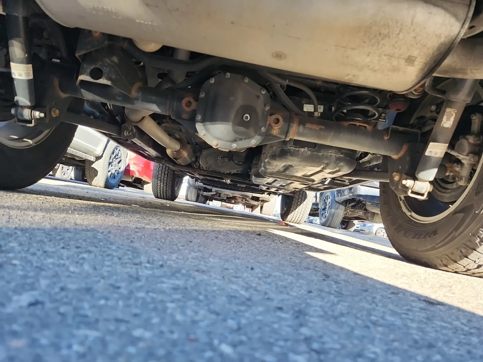 Undercarriage - Rear Photo