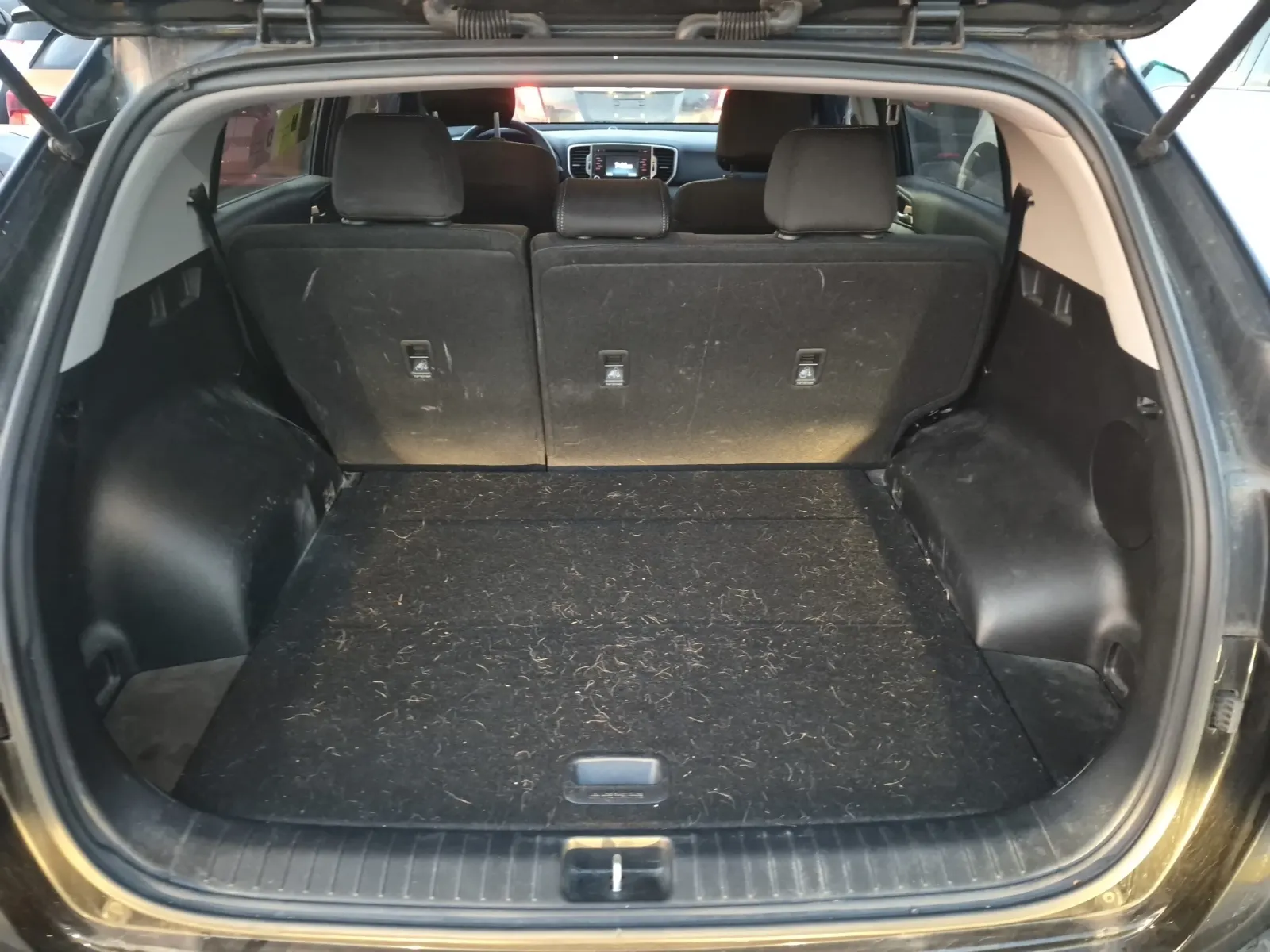 Cargo Area Photo