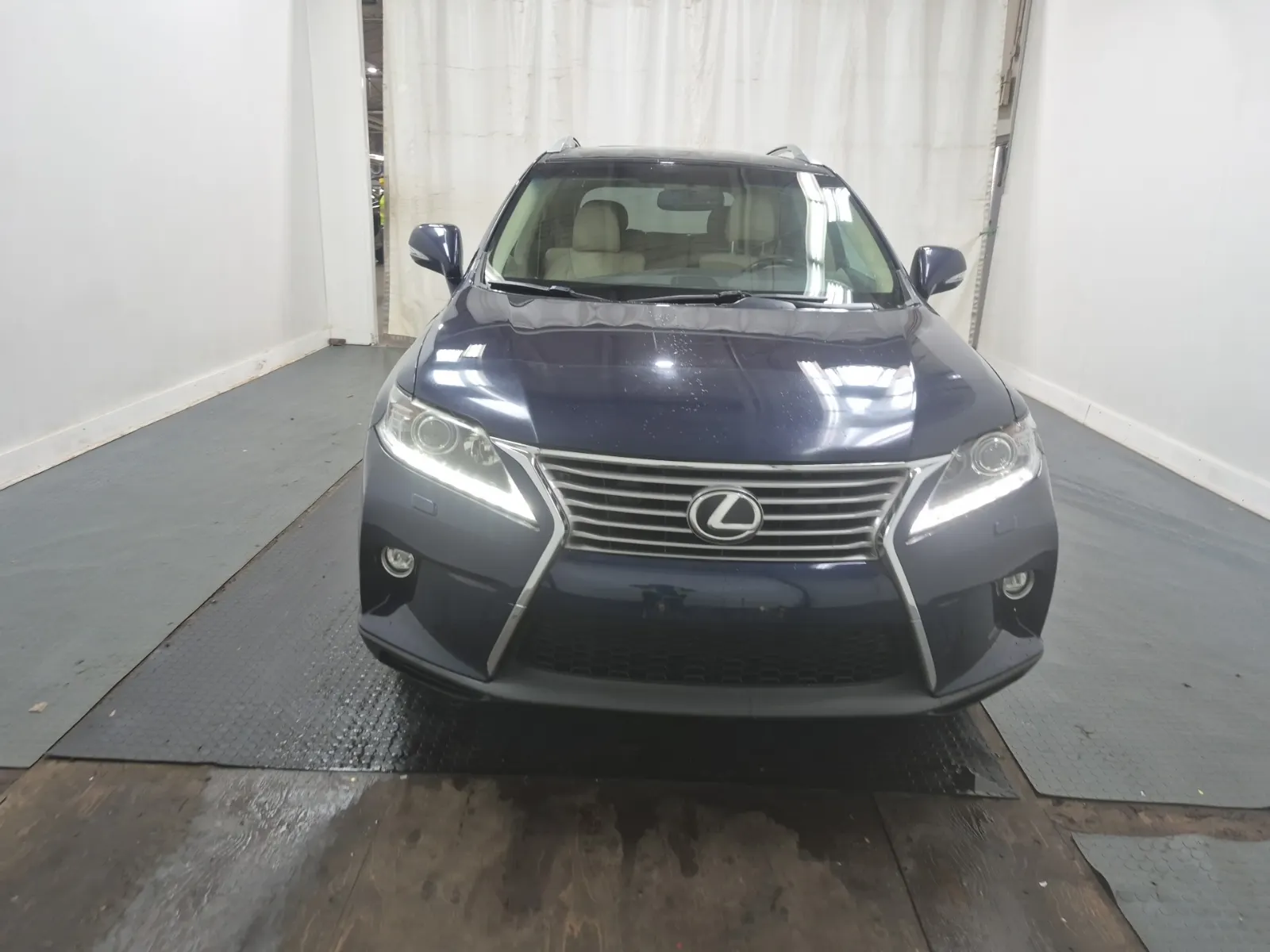 Full Front Photo