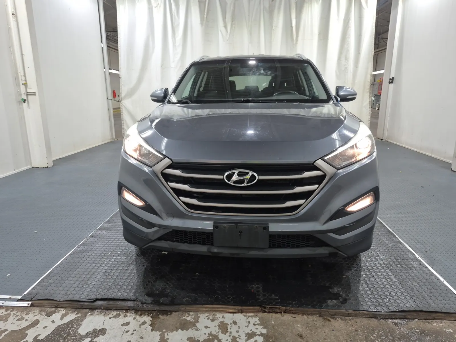 Full Front Photo