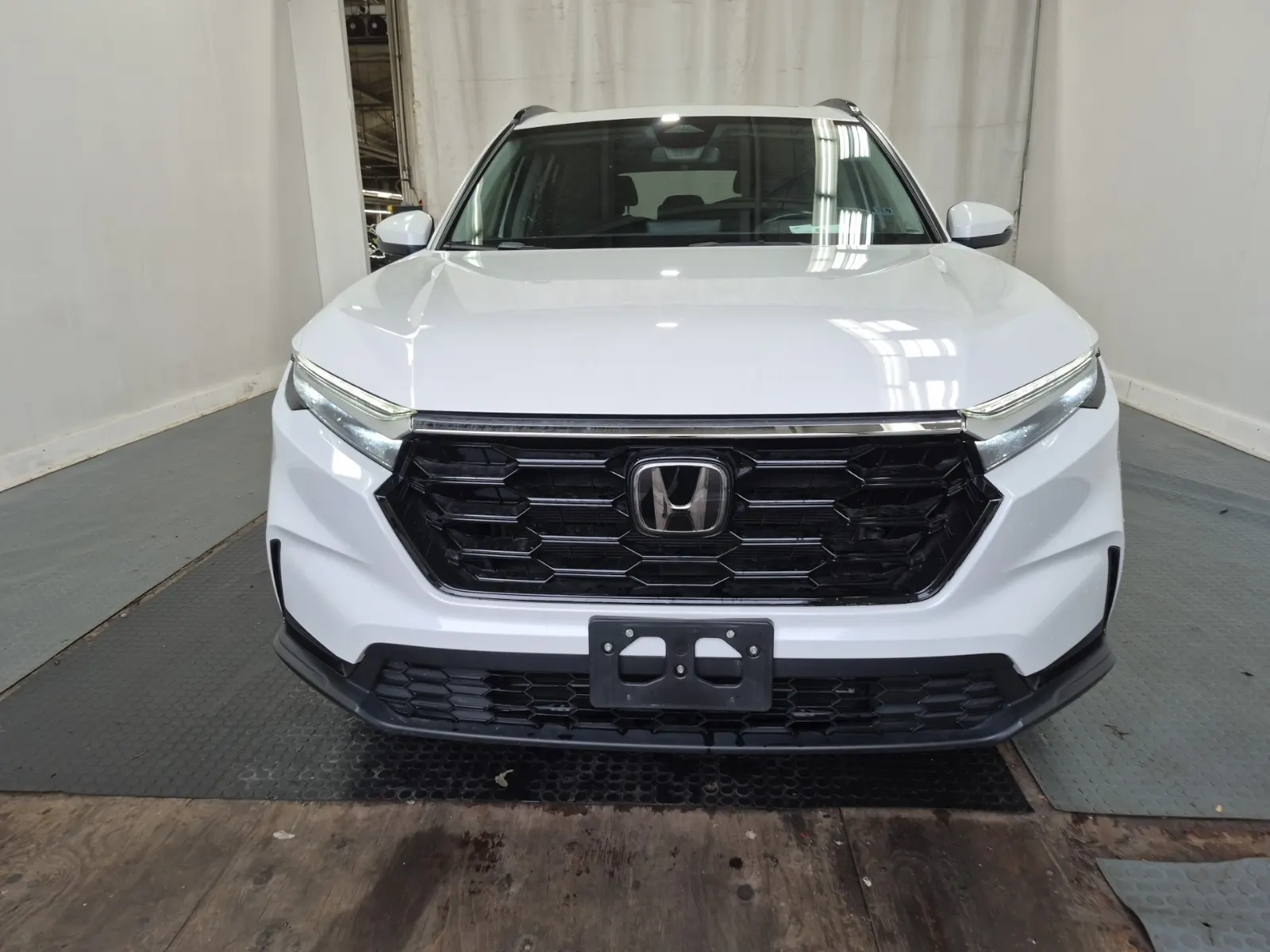 Full Front Photo